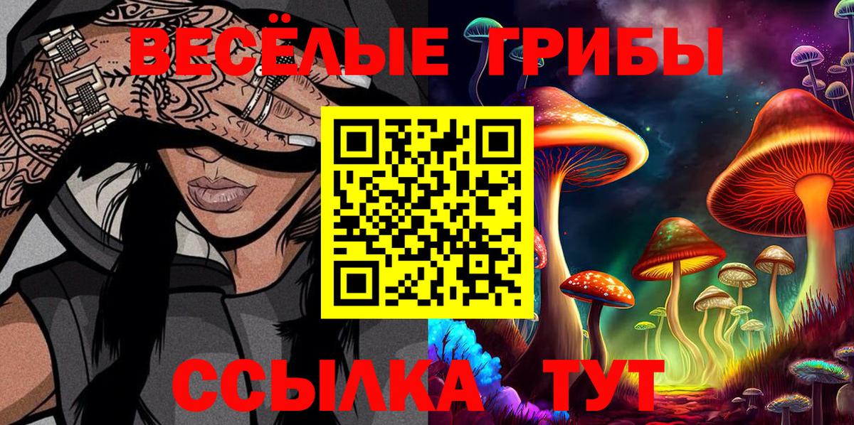 Галлюциногенные грибы ЛСД  Галлюциногенные грибы Magic Shrooms  Вход с VPN  цены   Волгоград 