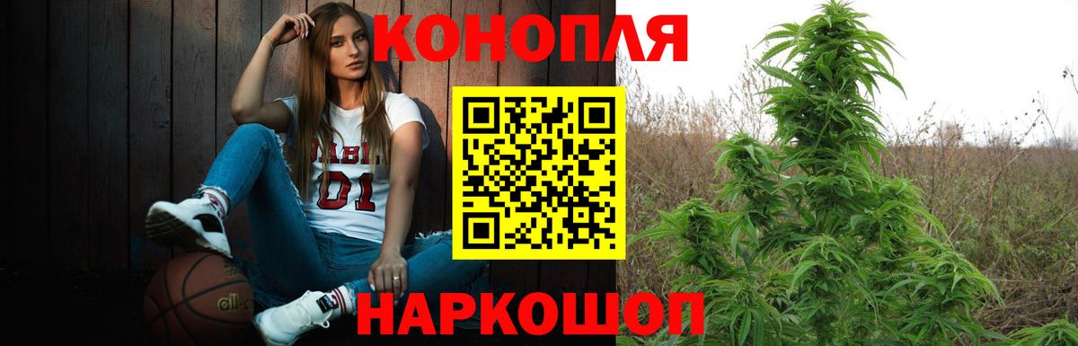 Шишки марихуана планчик  Вход с VPN  Марихуана ГИДРОПОН  Волгоград  Бошки марихуана Ganja 